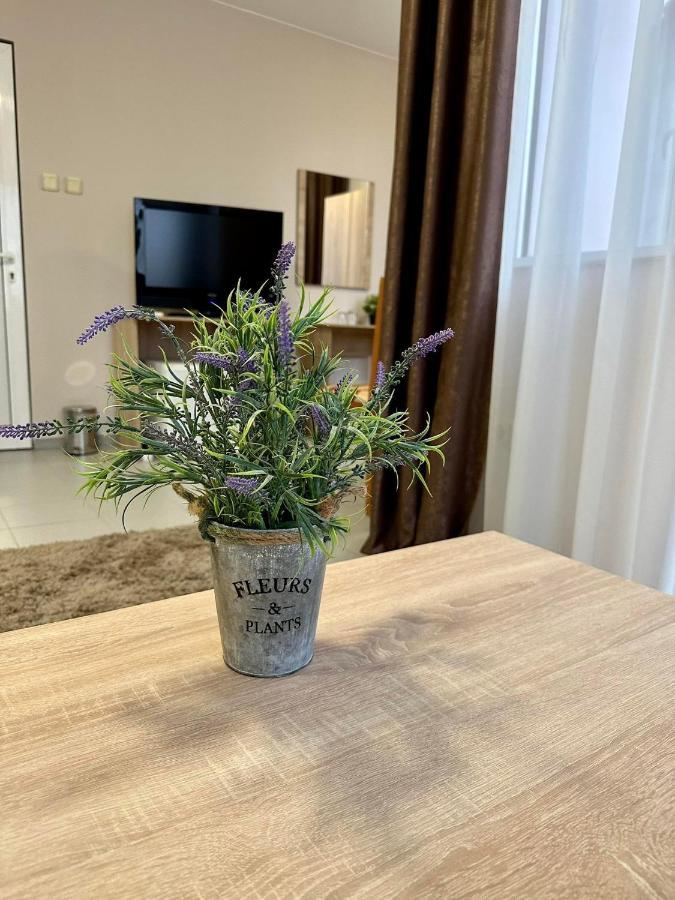 Guest House Family Пловдив Экстерьер фото